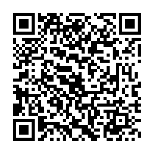 秦方却可以轻易的让变色龙对他进行无比惨烈的折磨……埃尔文有多惨二维码生成