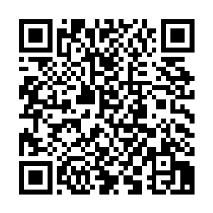 秦方却怎么也没想到现实之中居然真的有人会用飞刀当作武器的二维码生成