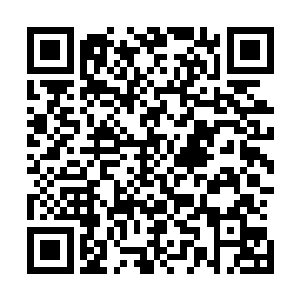 秦方却是好像完全没看到李枫那愤怒的恨不得撕了他的眼神二维码生成