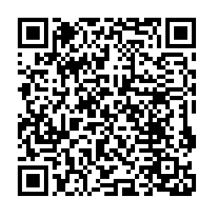秦方却硬是制造了这样一个完全没有可能发生的事实……若真的是事实的话二维码生成