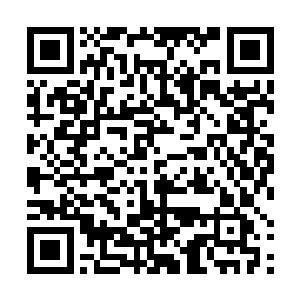 秦方压根就没有将海神殿的那帮小喽啰放在眼里的……二维码生成