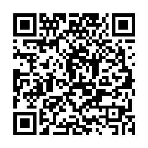 秦方又一次中弹了……这一次中弹的部位可不再是肩膀了二维码生成