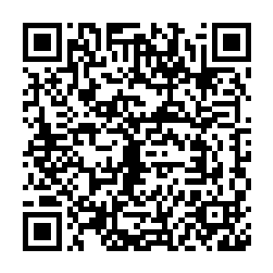 秦方又是一巴掌狠狠的拍在了赤尾良田那几乎已经完全崩坏了的脊椎上二维码生成