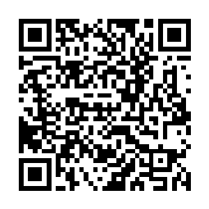 秦方可不敢把自己的安危完全放在裂风狼王的身上……二维码生成