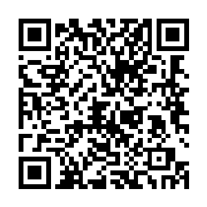 秦方可是获得了血魔宗的无上绝学血魔神功的残缺版本二维码生成