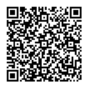 秦方各方面的数据也都得到了相当大的增长……甚至连生命值上限也是瞬间翻了一倍二维码生成