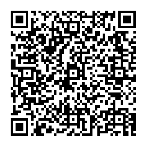 秦方在他的眼中顿时从当初的那个小弟弟转变成现在的内裤外穿的超人哥了……简直可以用敬若神明来形容的二维码生成