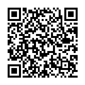 秦方就完完整整的从千里之外的锦城回返宁海了……而这个消息二维码生成