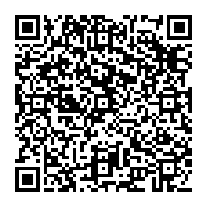 秦方就已经领悟了双手武器精通这样的被动技能了……只是这种被动技能不如主动技能那样常用二维码生成