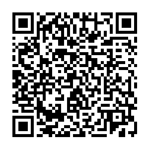 秦方居然又一人给了他们两枚补血丹……差点把他们两个人的眼珠子都瞪出来的二维码生成