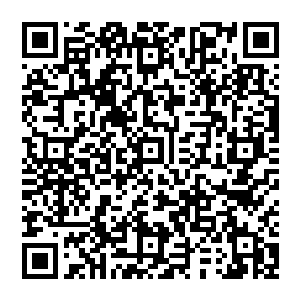 秦方差一点就没能带着秦天楠杀出来的……其中最主要的原因便是千门五大家族之一的杨家在拼命阻挠的二维码生成