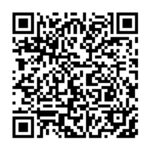 秦方才会考虑去动用乌神丹的力量……而且也会一点点尝试力量的释放二维码生成