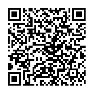 秦方既然已经吃过一枚青龙丹了……不管给秦方带来了什么样的好处二维码生成