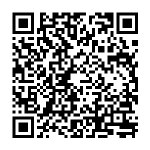 秦方明显更加看好神灵乌魔炎的……它对神葬修罗似乎有着极强的克星效果二维码生成