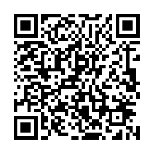 秦方此刻也是漫无目的的在这个庞大无比的建筑群中游荡着二维码生成
