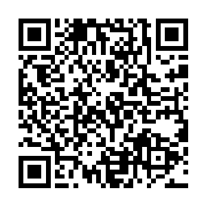 秦方此刻却是忍不住倒吸了一口气的……他的掌力无比雄浑二维码生成