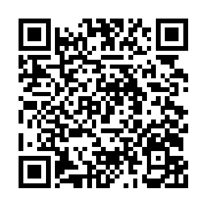 秦方真正注意到的却是这蛇珠的一些简单的介绍二维码生成