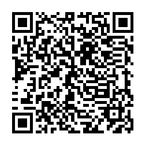 秦方等人这才真正算是松了一口气的……别看他们几个都完完整整的活下来了二维码生成