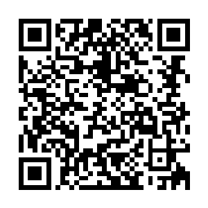 秦方终于摸到了那个射击的位置了……这里被简单的清理了一下二维码生成