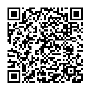 秦方还是希望他们可以变得更加强大……这样也可以为他分担一些压力的二维码生成