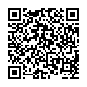 秦方这一脉确实比眼前的这个秦家支脉要更加嫡系一些的……二维码生成