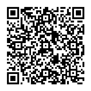 秦方那无尽的子弹就已经无情的倾泻在它的大脑深处了……结果在这一刻也就已经注定了二维码生成