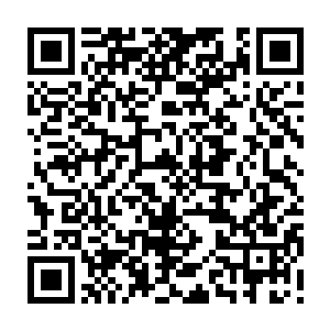 秦方随时都可以使用血爆之术来加持自己的实力……等于是可以无限开挂了……二维码生成