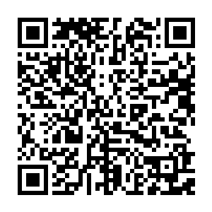 秦方难免有些疑惑的嘀咕了一下的……实在是这些小鱼的群体攻击太可怕了二维码生成