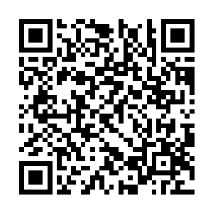 秦方非常果断的动用了另外一个大大杀器……神蚕二维码生成