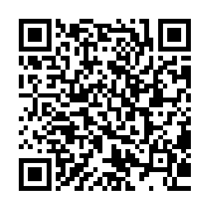 秦月小姐 你怎么來这里了 后台不是已经有人去接你了吗 二维码生成