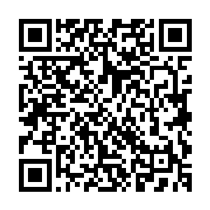 秦朝阳给自己提供的信息和慕容晓晓给的玉简中记载的差不多二维码生成