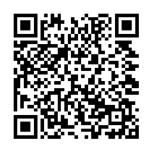 秦林一直默默的用手指头敲着桌面梳理众人的供词二维码生成