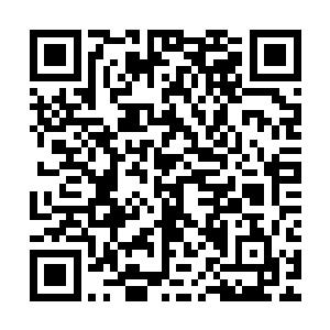 秦桑将柔骨兔其他的部分都分割好了交给林灵放在储物戒指里面二维码生成