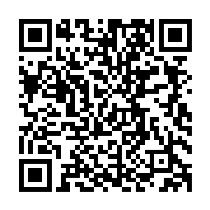 秦洛也没办法猜出爷爷三十年前到底是给仇家的那一位看的病二维码生成