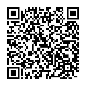 秦洛假装一点儿也不心疼的第n次把钱包里的银行卡抽出来递过去时二维码生成
