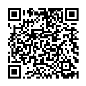 秦洛却能够从他们的表情中解读出他们的善意和热情二维码生成