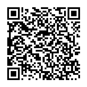 秦洛在小院里和两门一派的人没日没夜火急火燎的研究解毒方案的时候二维码生成