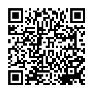 秦洛当时倒是想和他爷爷讨论一下游戏玩具圣斗士星氏什么的二维码生成