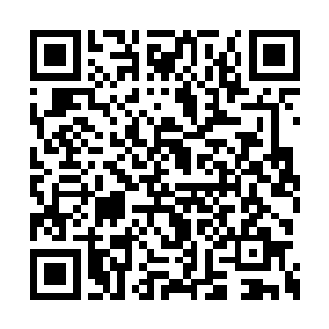 秦洛正准备提着书本去办公室参加教务处的会议二维码生成