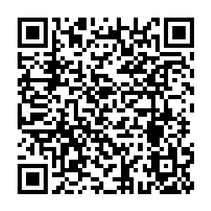 秦洛甚至还央请了闻人牧月和王家出手帮忙――整个燕京都惊动了二维码生成