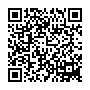 秦洛终于可以理解为何白破局和白残谱这样的性格原因了二维码生成