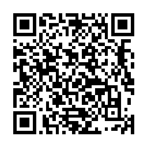 秦绍和秦绍谦将宁毅视为乃父的同道甚至是衣钵传人之一二维码生成
