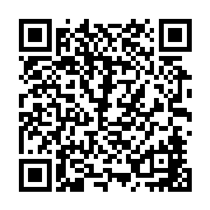 积压成堆的第一时间全部摊开……骨折伤断情况的排到后面二维码生成