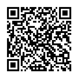 稀奇的是不同于以往同辈间将种子弟的偎红依绿把酒言欢二维码生成