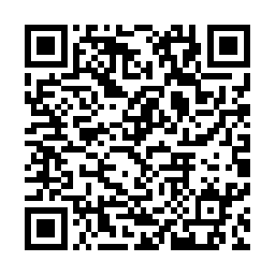 稀释了许多倍之后……每棵树的树根上都倒了大约半桶下去二维码生成