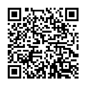 程兆儿大致上和家人说了一下他们要去拜访罗家的意思二维码生成