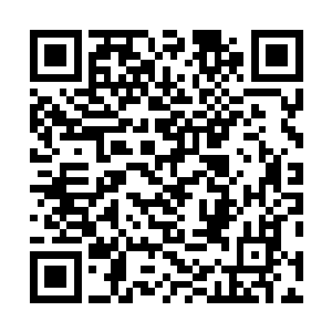 程兆儿就准备把自家放养在后院竹林的鸡给放到山上去了二维码生成