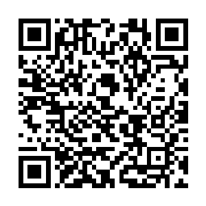 程兆儿略微和程长庆和李氏说了和欧阳璟合作的事情二维码生成