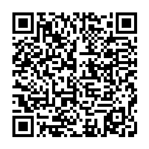 稷放将早就准备好的写着契约内容的一份兽皮制作而成的卷轴递给邵玄几人看二维码生成