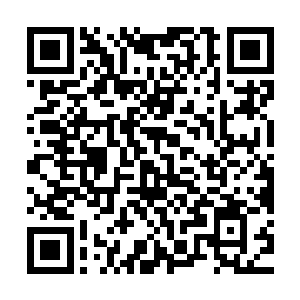 穆扬灵之前有些模糊的记忆因为有了明确的目标而渐渐清晰起来二维码生成